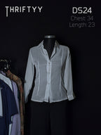 Sheer Vertical-Seamed Button-Down Shirt